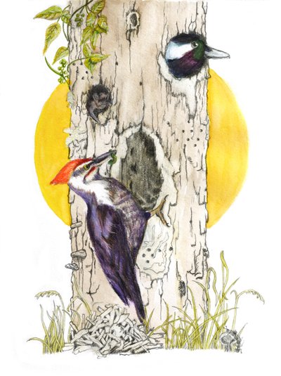  by Roberta Murray
