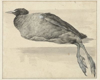 ölü öküz by Rochus van Veen