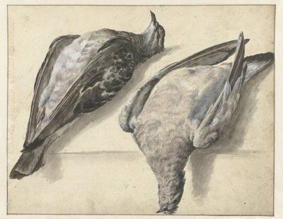 iki ölü güvercin by Rochus van Veen