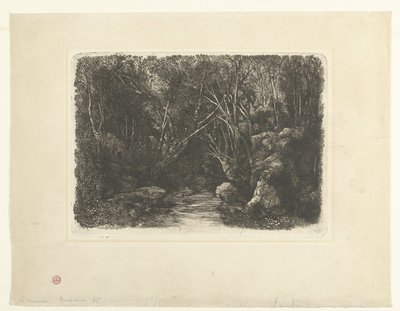 Dere ve sarkan ağaçlar ile orman manzarası Le Ruisseau sous bois by Rodolphe Bresdin