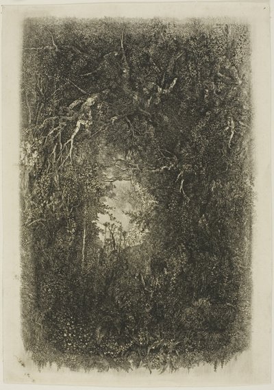 Ormanda Temizleme by Rodolphe Bresdin