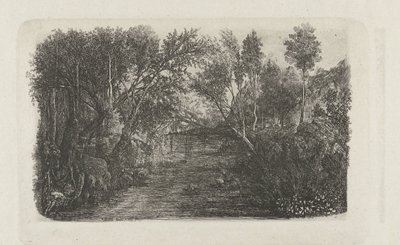 Le cours d'eau kıyısında bir dere ve ağaçlarla manzara by Rodolphe Bresdin