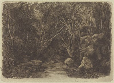 Ormandaki Dere by Rodolphe Bresdin