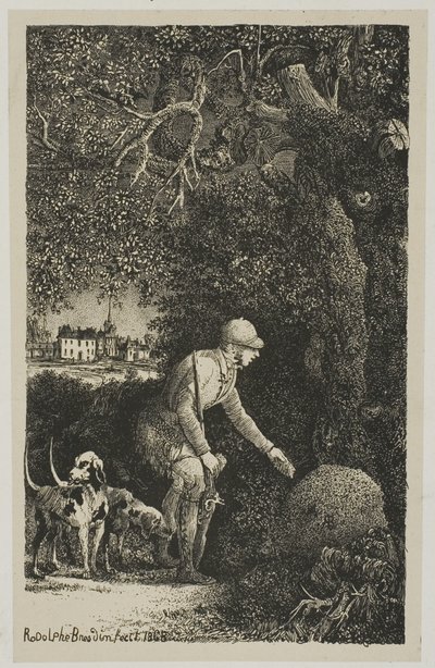Diplomat ve Karınca Yuvası, Hippolyte de Thierry-Faletans tarafından Masallar ve Masallar için İllüstrasyon by Rodolphe Bresdin