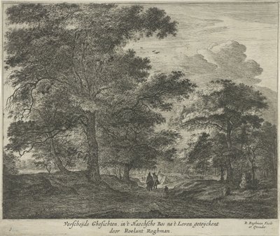 Haagse Bos