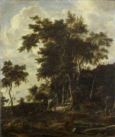 Bir oduncunun kulübesi olan orman manzarası by Roelant Roghman