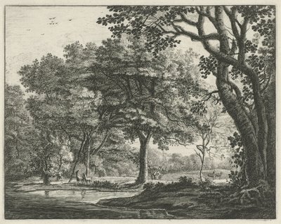 Haagse Bos