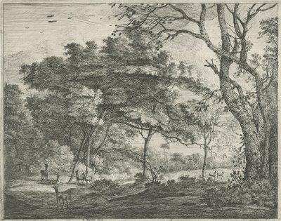 Haagse Bos