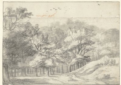 Haagse Bos