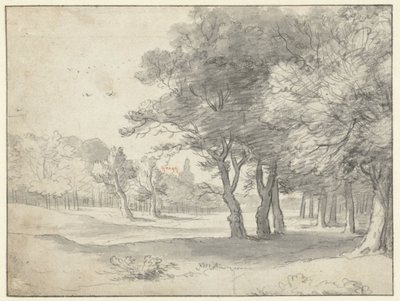 Uzakta Grote Kerk, Lahey ile Haagse Bos