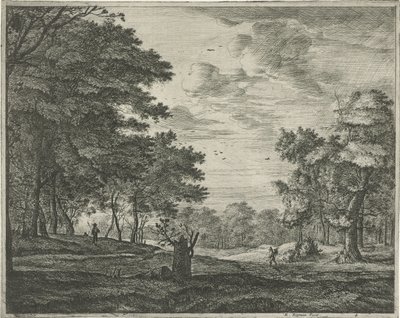 Haagse Bos
