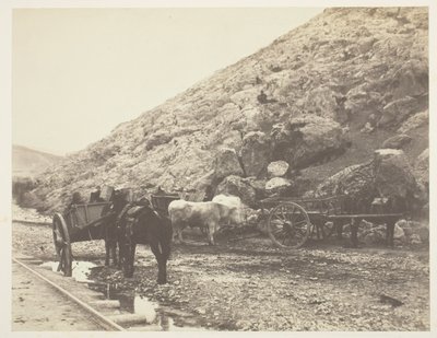 Sığır ve Arabalar, Balaklava