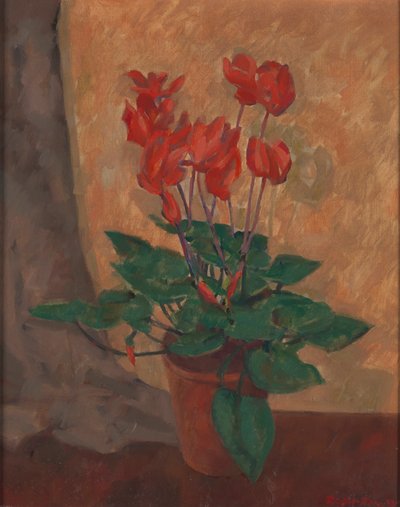 siklamen by Roger Fry