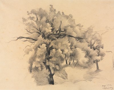 Ağaçların Çalışması by Roger de La Fresnaye