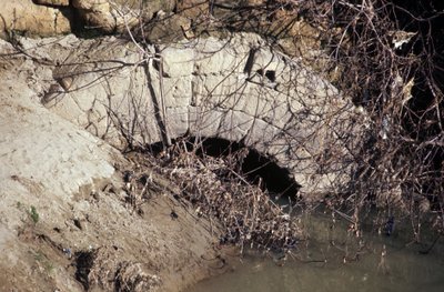 Antik Roma, arkaik dönem: Cloaca Maxima