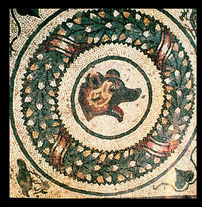 Ayı Başı, Roma mozaiği, 4. yüzyıl başı (mozaik) by Roman