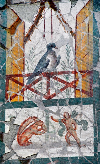 Balkona konan bir kuşun altında, bir Amour bir sincapla karşı karşıyadır. Geç 1. yüzyıl (fresk) by Roman