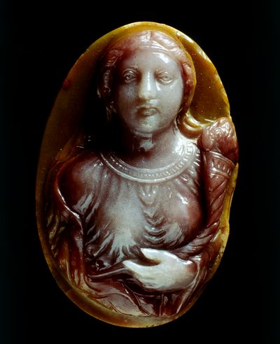 Bolluğun Cameo