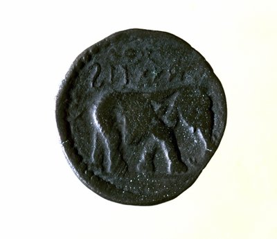 Bir fili temsil eden Kartaca parası. MÖ 3. veya 2. yüzyıl. by Roman