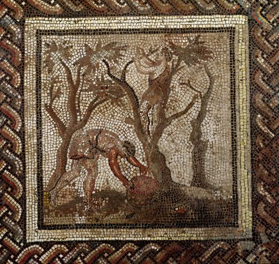 Saint-Romain-en-Gal'den Üzüm Hasadı (mozaik) by Roman