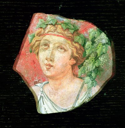 ಬಚ್ಚಾಂಟೆ ಟರ್ಕಿಯ ಮುಖ್ಯಸ್ಥ by Roman