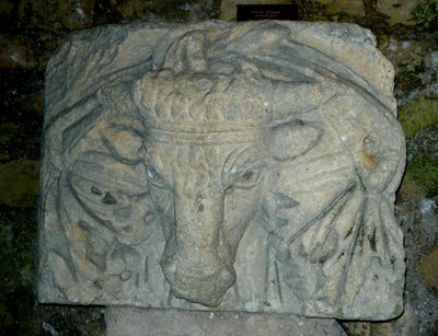 Bir boğa başkanı by Roman