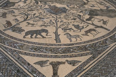 Orpheus Evi, Orpheus vahşi hayvanlarla çevrili, detay (mozaik) by Roman
