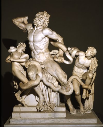 Laocoön ve Oğulları (mermer) by Roman