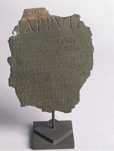 Lex Tappula, Vercelli