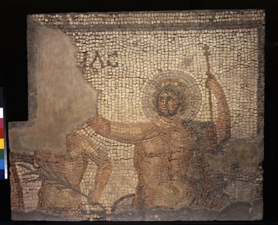 Menander Evi