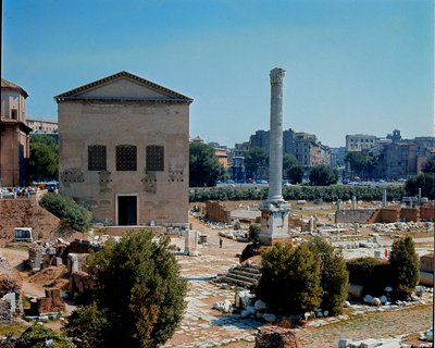 Roma Forumu: Senato