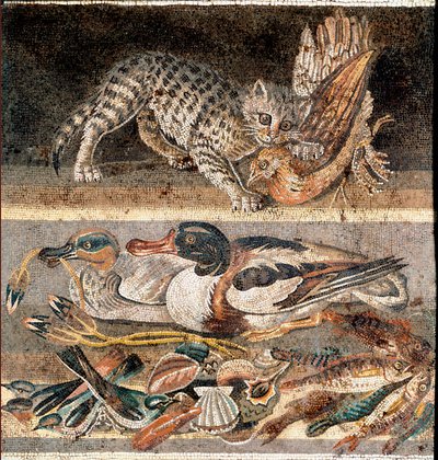 Roma sanatı: keklik yiyen kedi ve yaban ördekleri MÖ 1. yüzyılın ilk yarısı) Roma, Museo Nazionale Romano by Roman