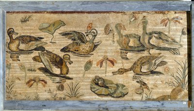 Roma sanatı: bir gölette ördek, kurbağa ve nilüferler. Pompei