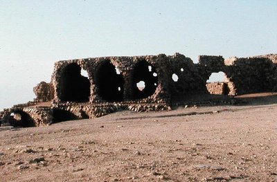ರೋಮನ್ ಜಲಚರ ಟರ್ಕಿಯ ಅವಶೇಷಗಳು by Roman