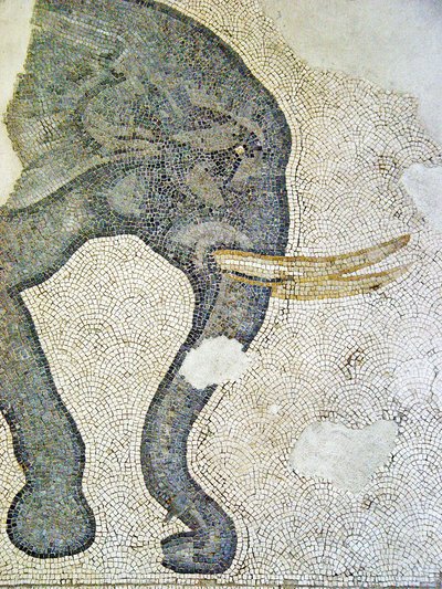Bilinmeyen resim by Roman