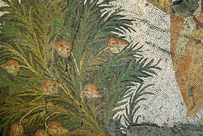 Bilinmeyen resim by Roman