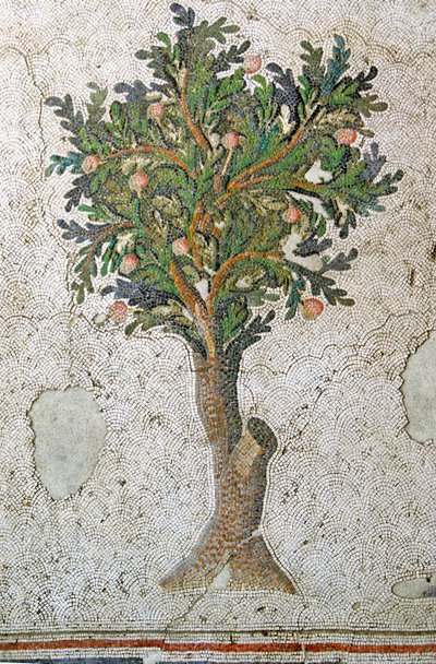 Bilinmeyen resim by Roman