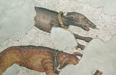 Bilinmeyen resim by Roman