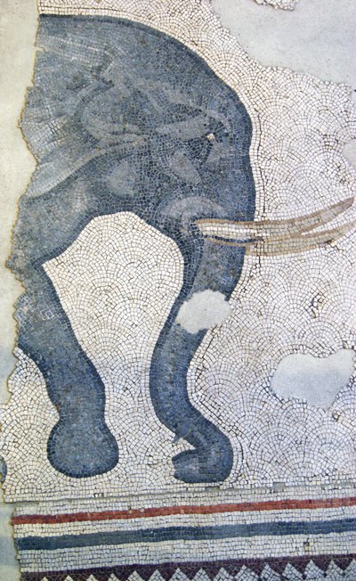 Bilinmeyen resim by Roman