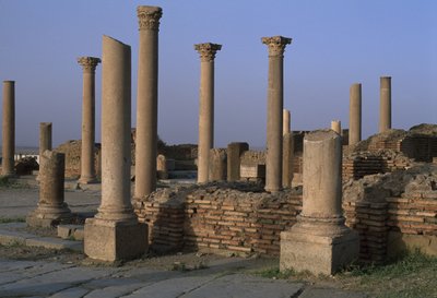 Kütüphaneden Görünüm, MS 100 civarı, Yüksek İmparatorluk Dönemi (M.Ö. 27-395) by Roman Imperial Period