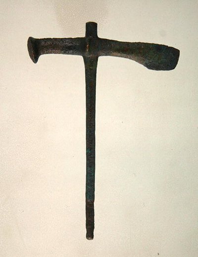 Balta, Bebra