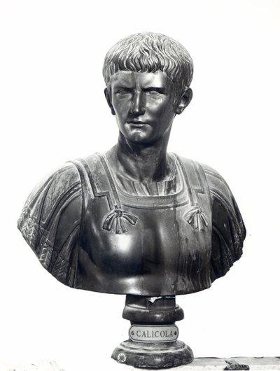 İmparator Caligula Büstü (c.12-41) (bronz) (s/b fotoğraf) by Roman Roman