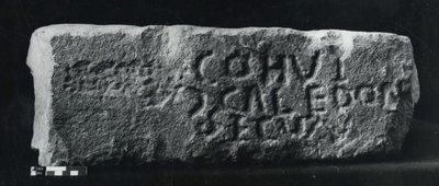 asırlık taş (taş) by Roman Roman