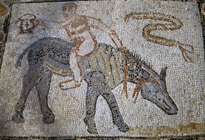 Desultor (yarış sırasında bir attan diğerine atlayan atlet) eşeği geriye doğru sürerken kantharos'u (kazanan kupası) tutuyor, Roma'nın Volubilis kentindeki Desultor Evi'ndeki mozaik (UNESCO Dünya Mirası Listesi) by Roman Roman