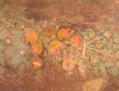 Boscoreale Roma Villası'ndan (Napoli), Roma Medeniyeti'nden çiçek ve meyve süslemeli fresk detayı by Roman Roman