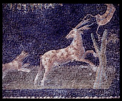 Casa di Nettuno e Anfitrite nymphaeumunun duvar mozaiklerinin detayı, MÖ 5. yy - MS 1. yy by Roman Roman