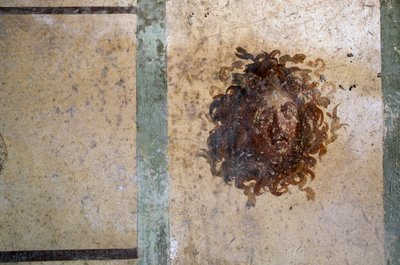 Gorgon'un başı, Pompeii'deki Caius Julius Polybius Evi'nden fresk (UNESCO Dünya Mirası Listesi) by Roman Roman