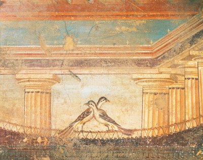 Kuşları tasvir eden Hera Sannita freski, Labirent Evi, Pompeii, Campania, Roma Uygarlığı by Roman Roman