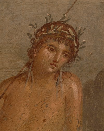 İtalya, Campania Bölgesi, Napoli Eyaleti, Pompeii, Marco Lucrezio'nun Evi Frontone Fresk, Narcissus'u gölet kenarında tasvir ediyor by Roman Roman
