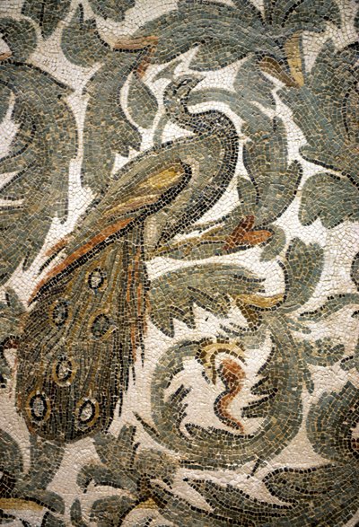 Tavus Kuşu, Mozaik Detayı - MS 4. yüzyıl, Bardo Müzesi, Tunus by Roman Roman